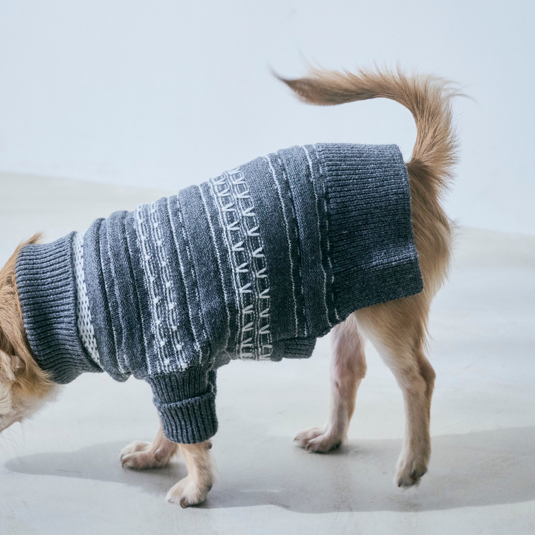 ジャガードニットZipハイネック(DOG)