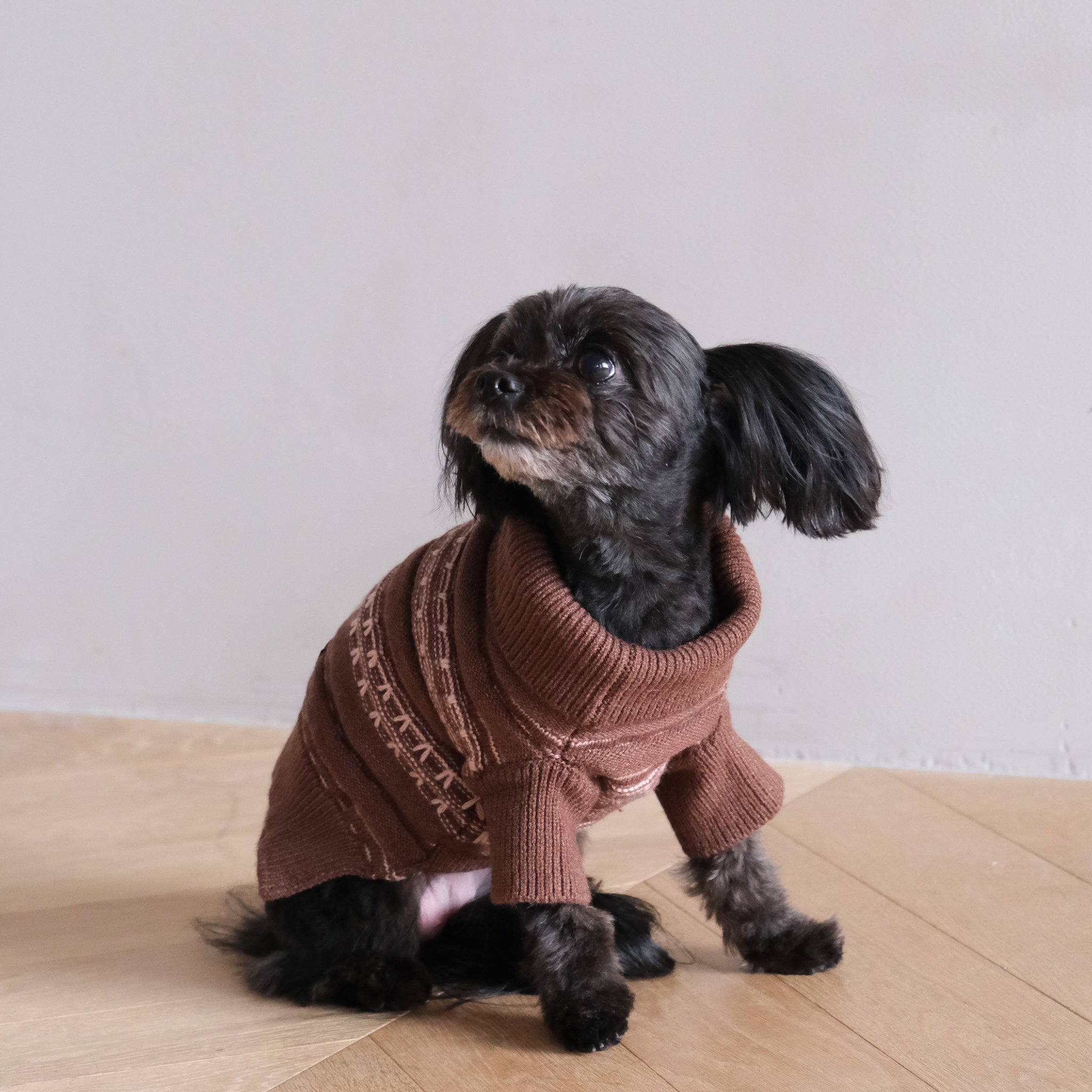 ジャガードニットZipハイネック(DOG)