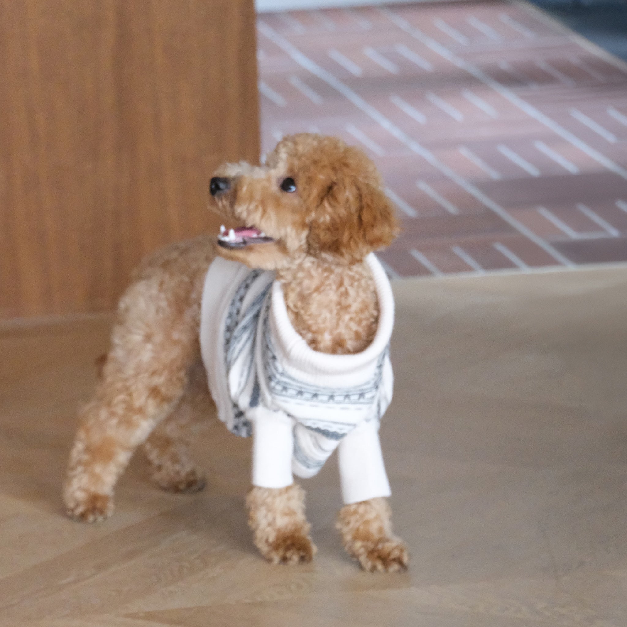 ジャガードニットZipハイネック(DOG)