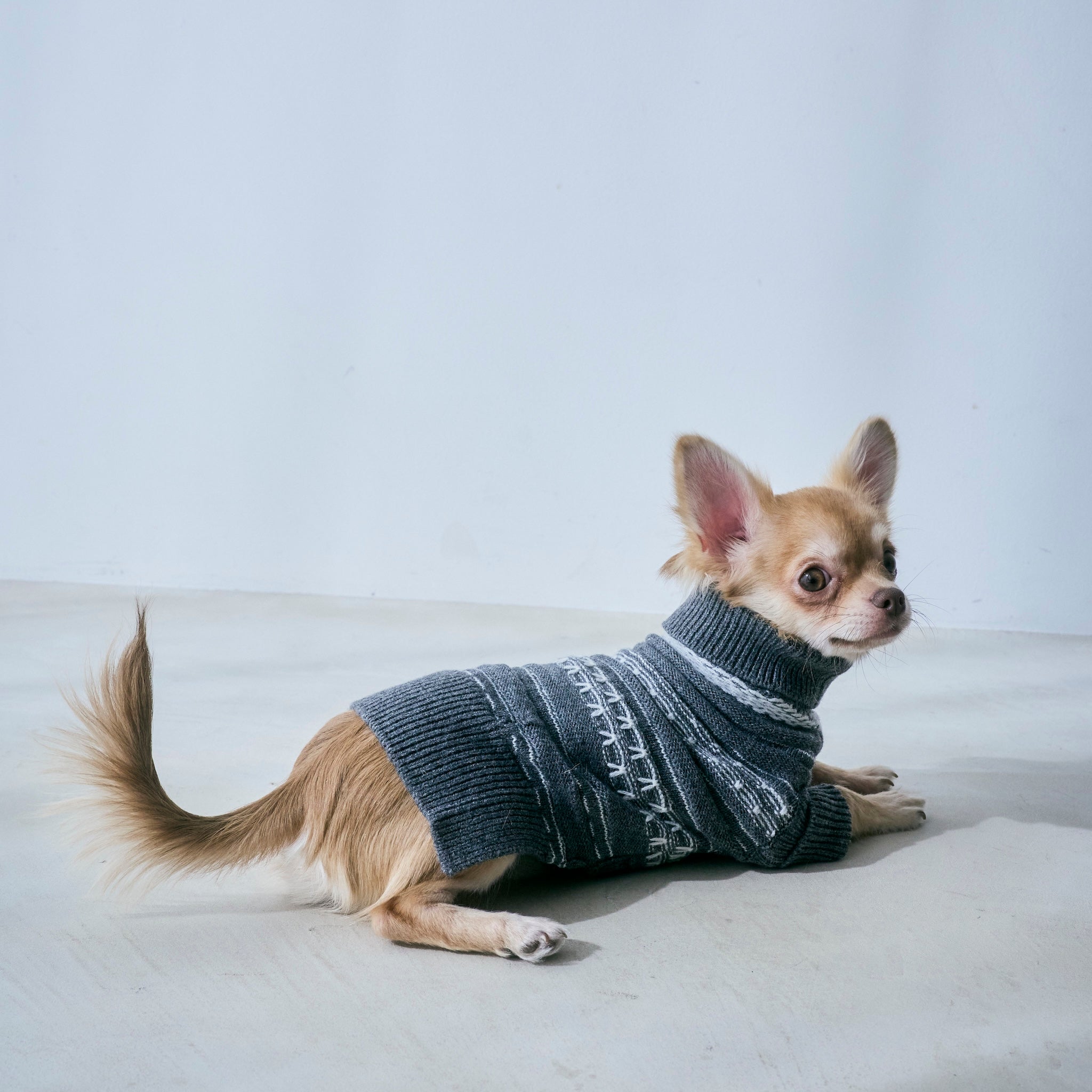 Jacquard knit zip high neck (DOG)