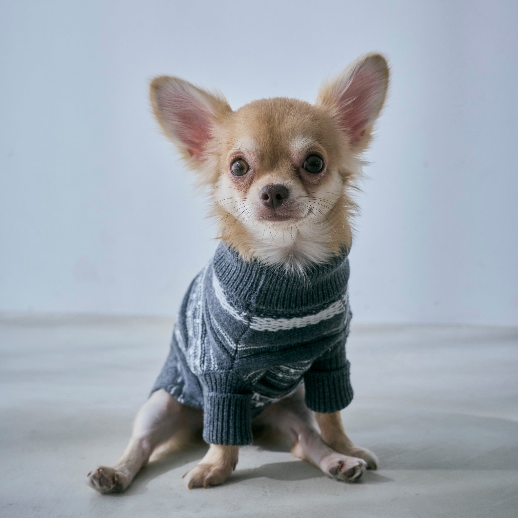 Jacquard knit zip high neck (DOG)