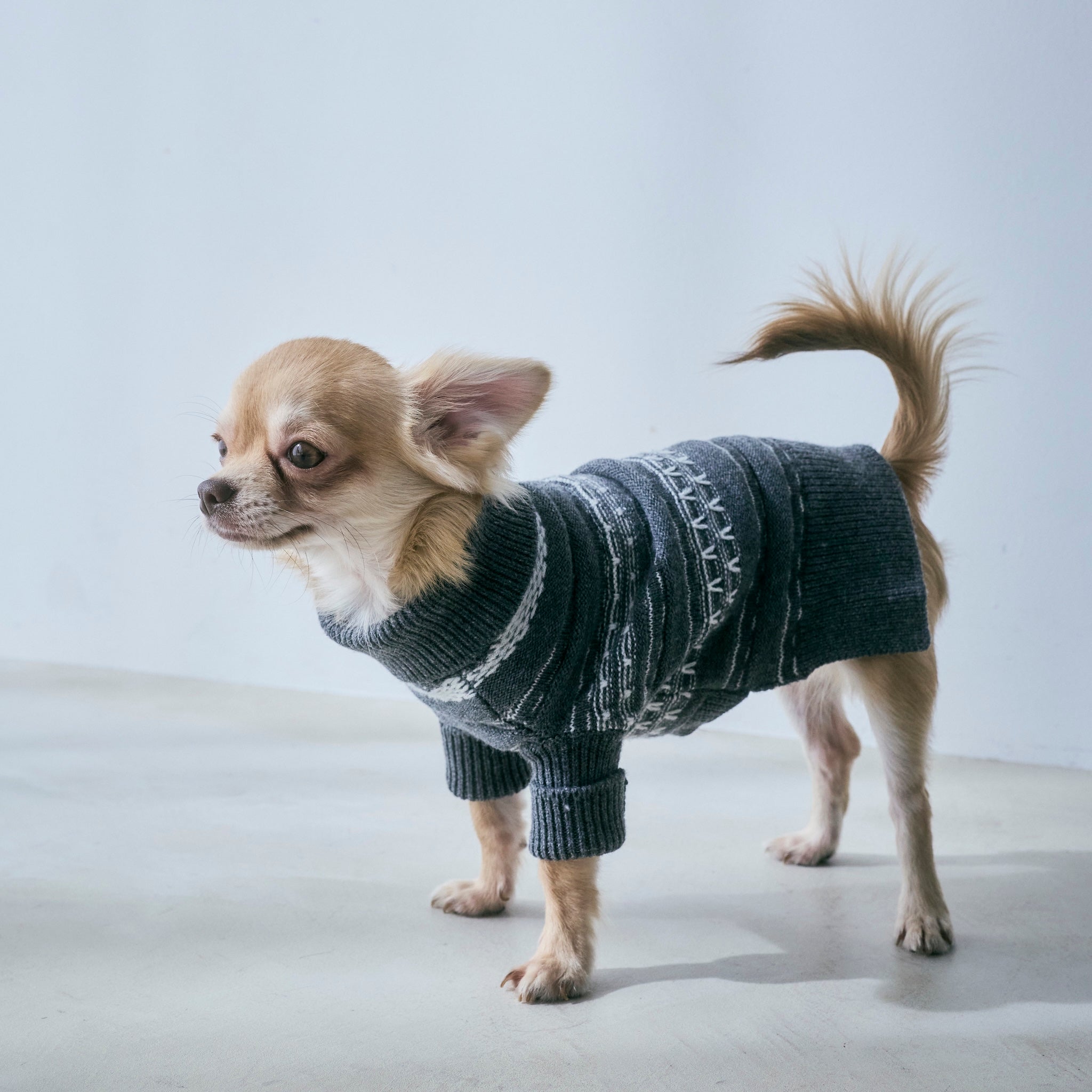 Jacquard knit zip high neck (DOG)