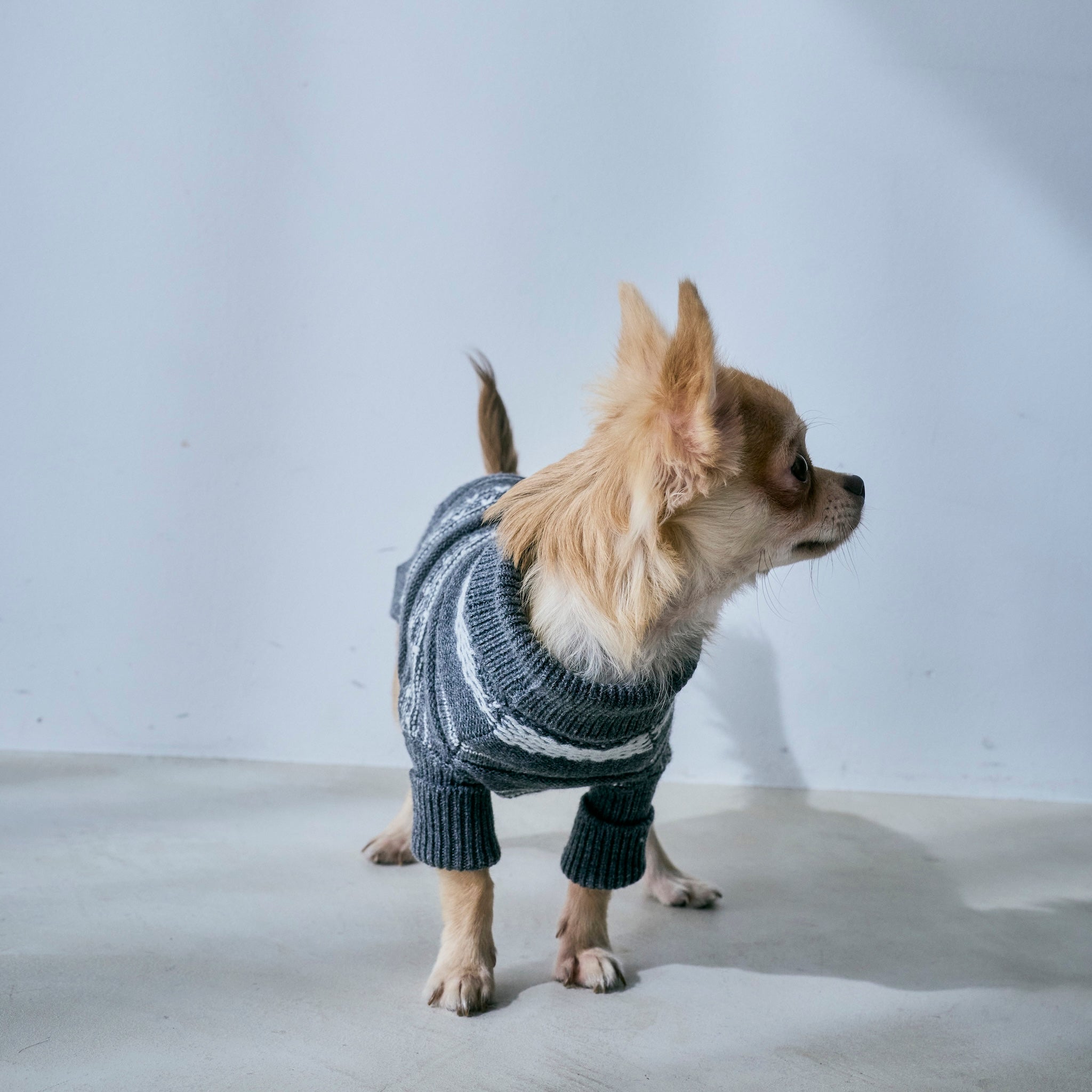 Jacquard knit zip high neck (DOG)