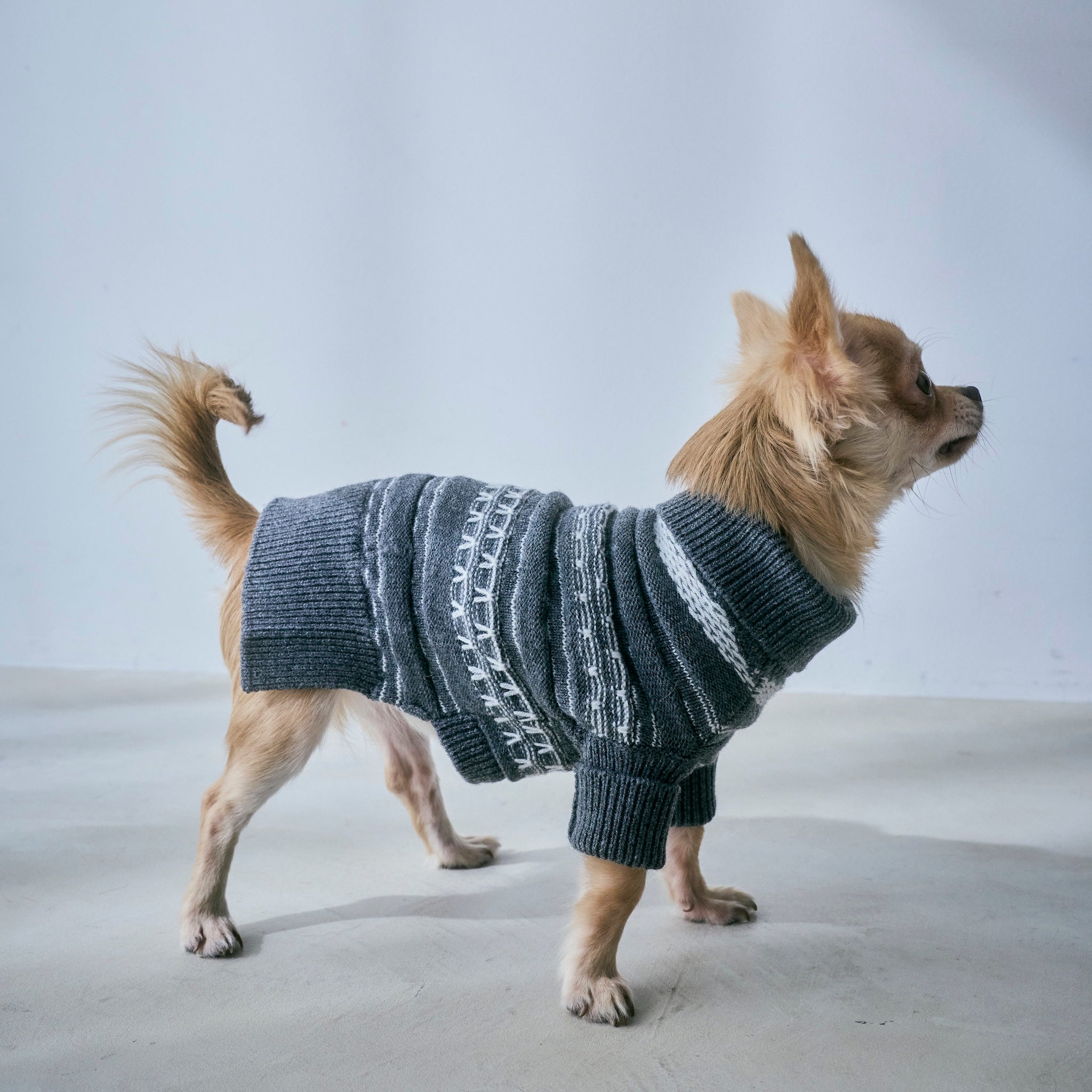 Jacquard knit zip high neck (DOG)