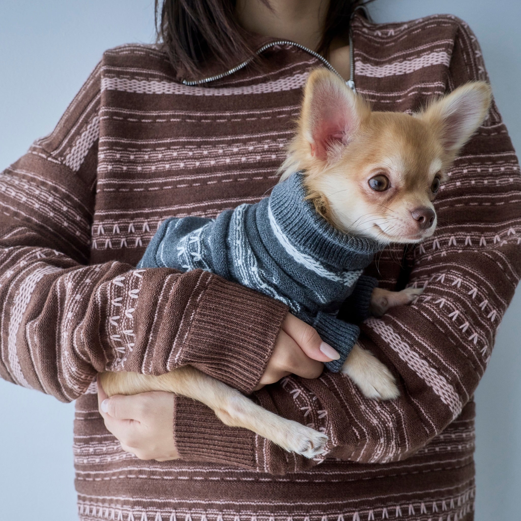 Jacquard knit zip high neck (DOG)
