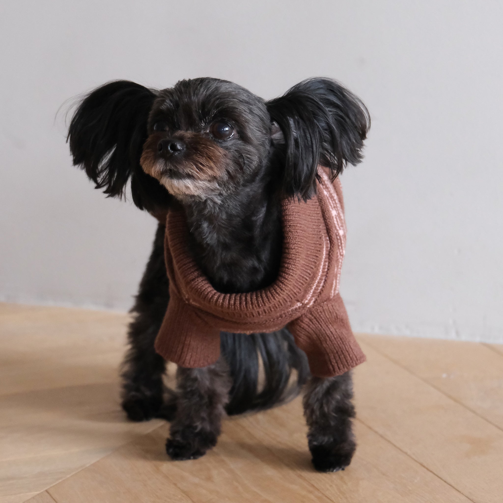 Jacquard knit zip high neck (DOG)