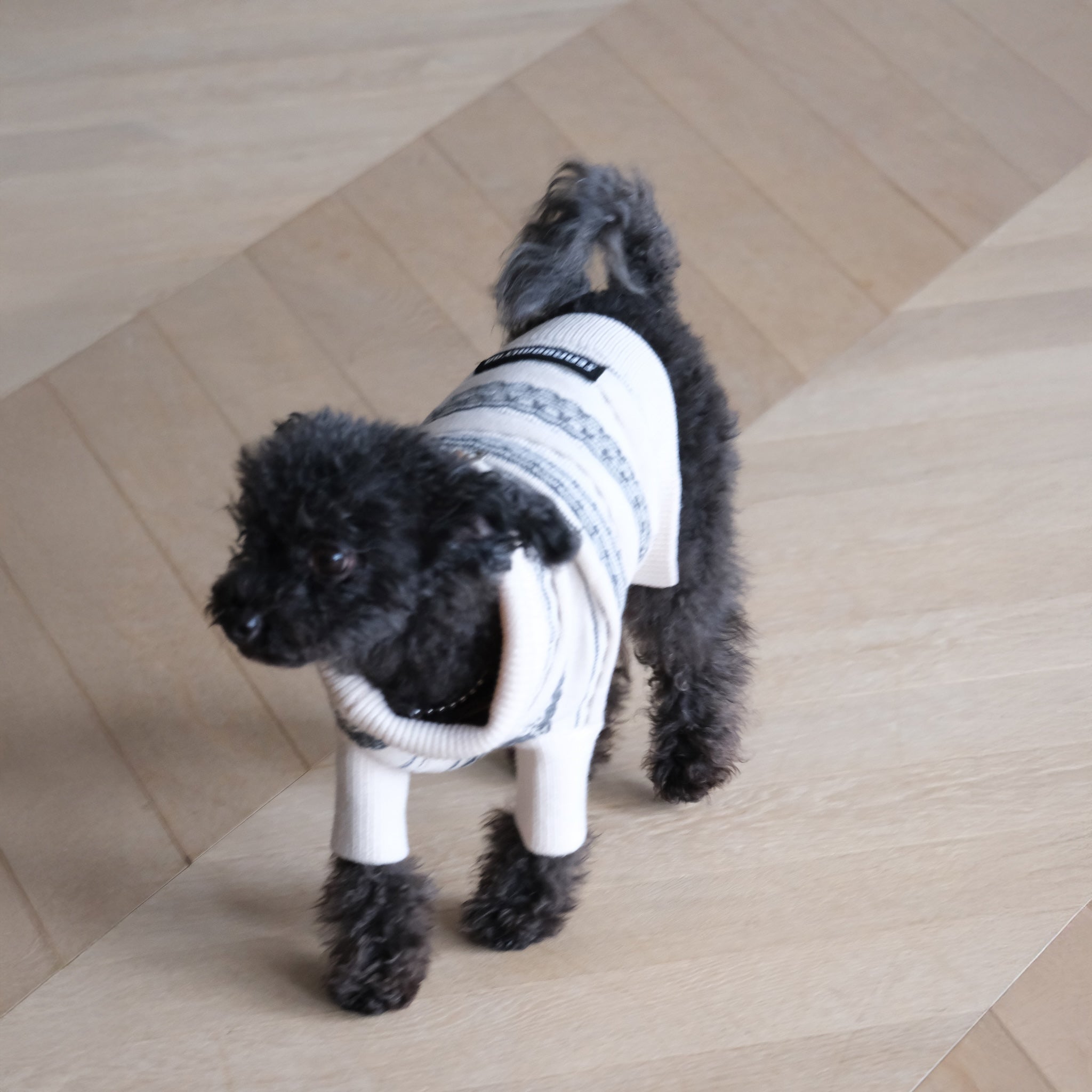 Jacquard knit zip high neck (DOG)