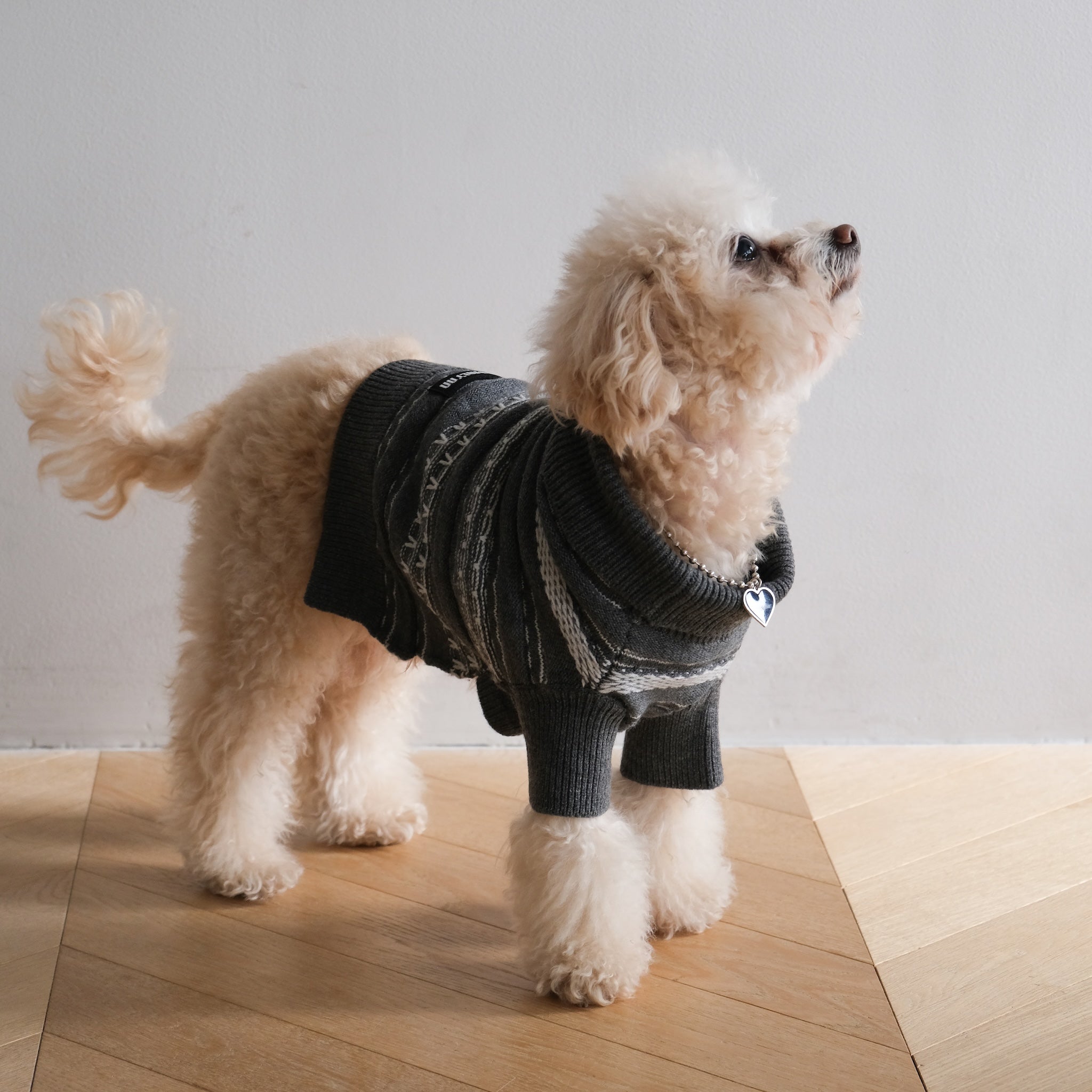 Jacquard knit zip high neck (DOG)