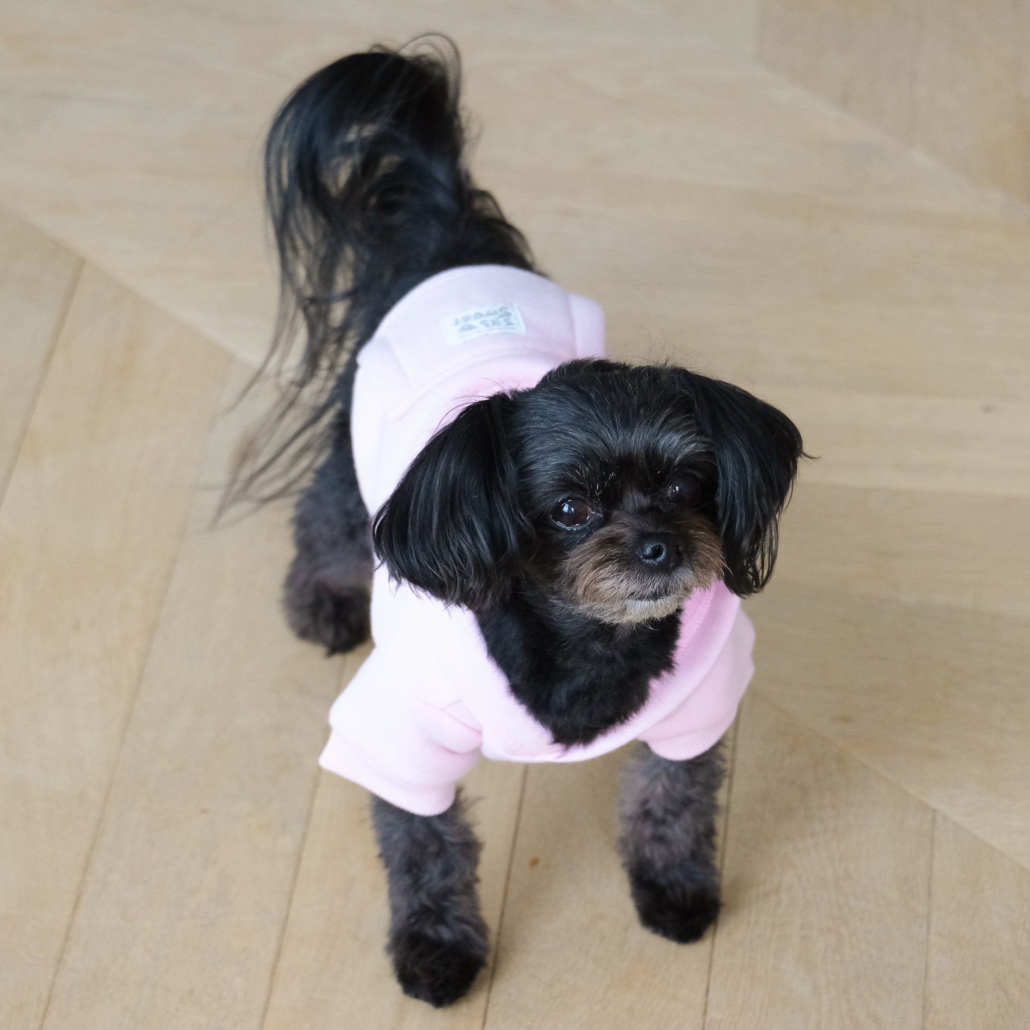Volume Sweat ハーフZipポケット(DOG)