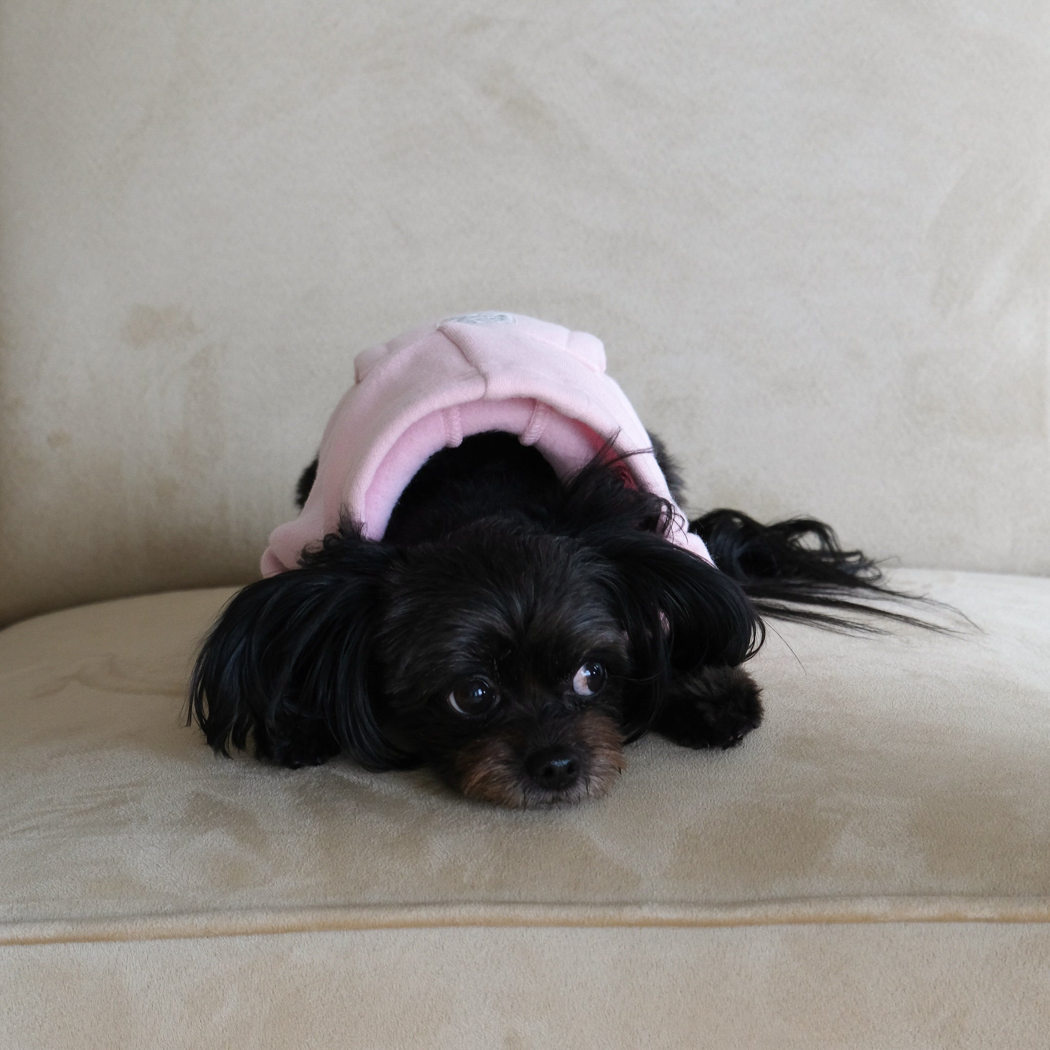 Volume Sweat ハーフZipポケット(DOG)