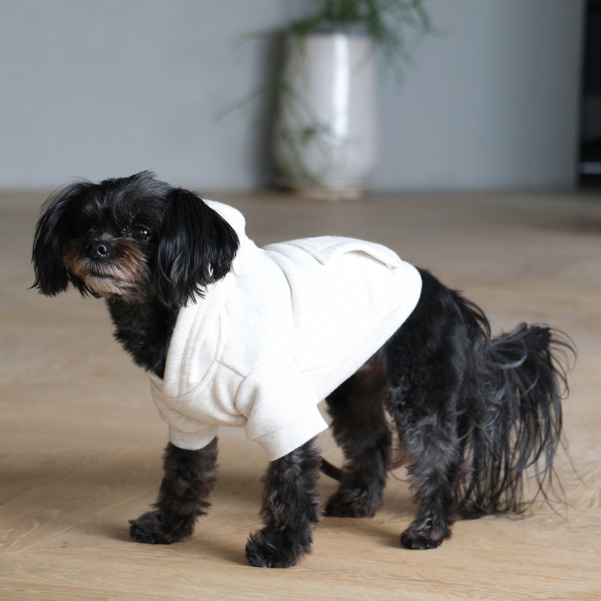 Volume Sweat Half Zip Pocket (DOG)