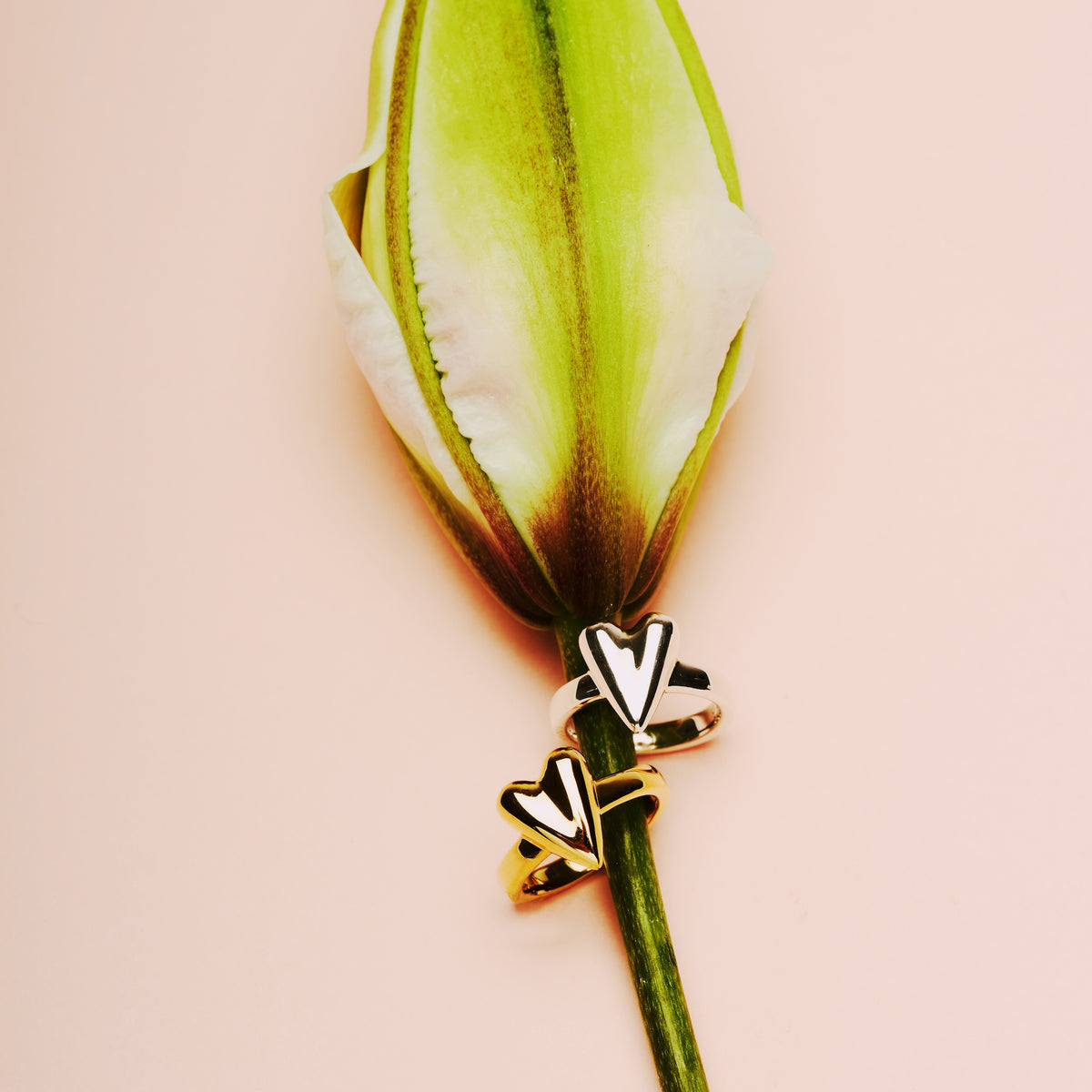 R.heart ring PINKY