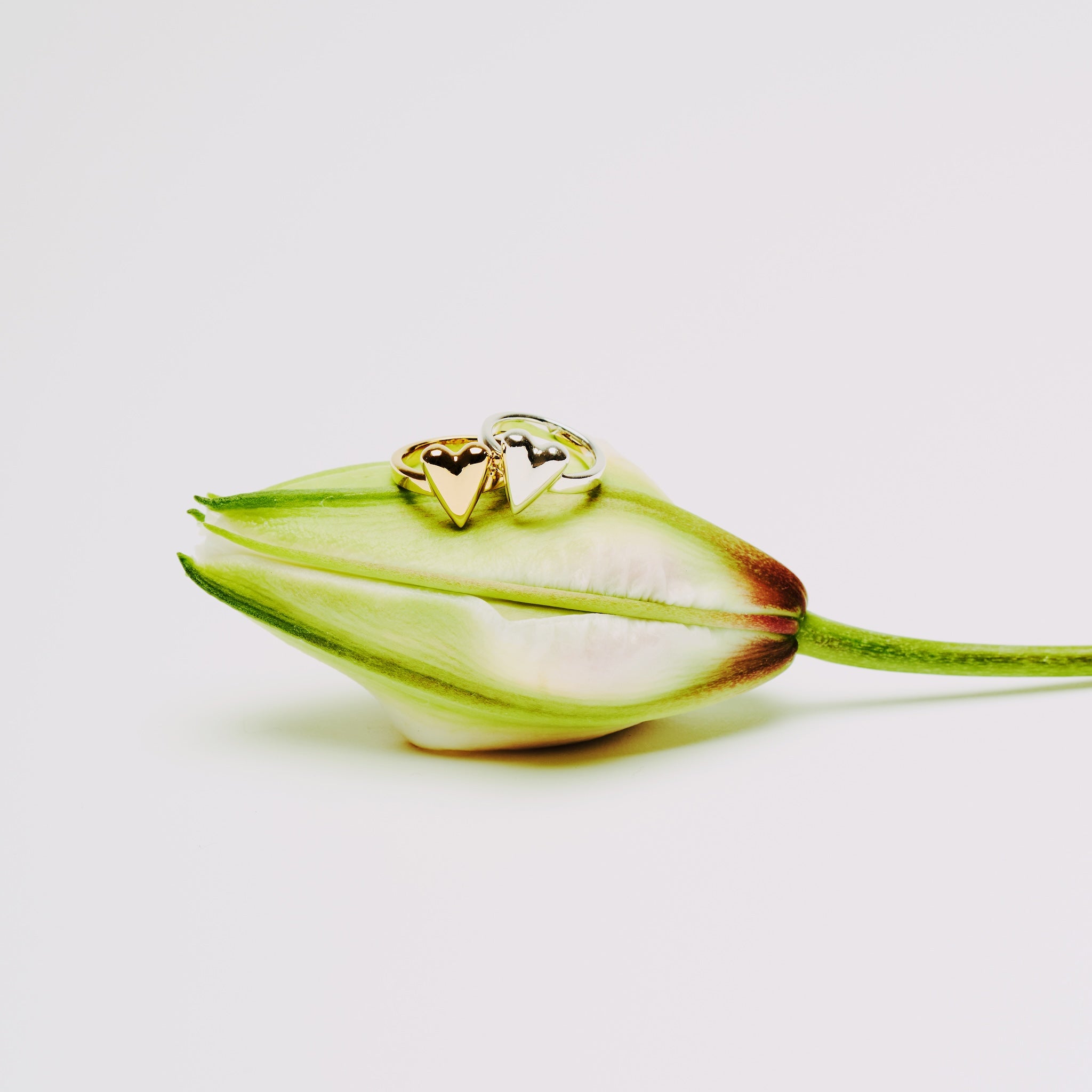 R.heart ring PINKY